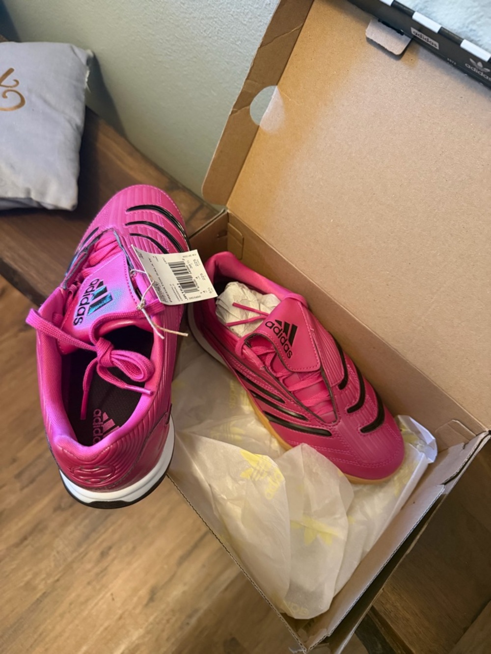 Pink pair – Adidas Predator Sala (JR1641) Shoes Gym